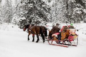 horse-drawn sleigh ride on Christmas 2023